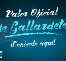 VALOR OFICIAL DE GALLARDETE  ¡Queda  definido!